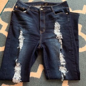 Fashion Nova Plus High Waisted Dark Skinny Jeans